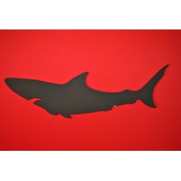Requin Requin