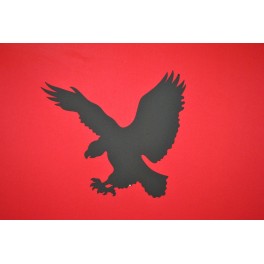 Aigle Aigle